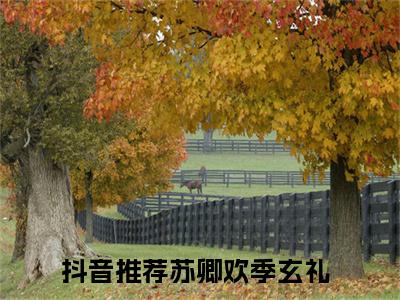 苏卿欢季玄礼（苏卿欢季玄礼）热门小说盘点在线阅读-苏卿欢季玄礼小说无弹窗