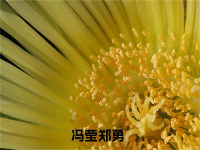 (番外)+(全文)冯莹郑勇小说免费下载阅读冯莹郑勇小说最新章节列表_笔趣阁（冯莹郑勇）