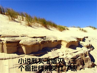 我灰飞烟灭，三个疯批徒弟哭红了眼卫舒（我灰飞烟灭，三个疯批徒弟哭红了眼卫舒）小说全文-我灰飞烟灭，三个疯批徒弟哭红了眼卫舒无弹窗免费阅读