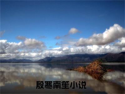 殷寒南笙的小说免费阅读（殷寒南笙的小说免费阅读）全文完整版免费阅读