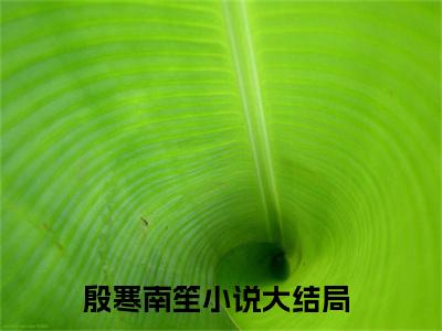 殷寒南笙（殷寒南笙）全文免费阅读无弹窗大结局_殷寒南笙全文免费阅读_笔趣阁（殷寒南笙）