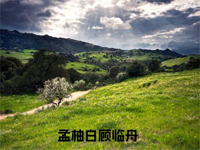 孟柚白顾临舟全文免费阅读无弹窗大结局_(孟柚白顾临舟免费阅读)孟柚白顾临舟最新章节列表_笔趣阁