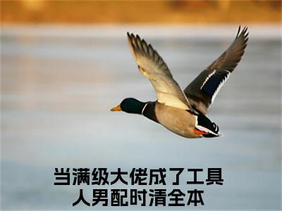当满级大佬成了工具人男配时清阅读无弹窗大结局_（当满级大佬成了工具人男配时清阅读无弹窗）最新章节列表_笔趣阁（当满级大佬成了工具人男配时清）