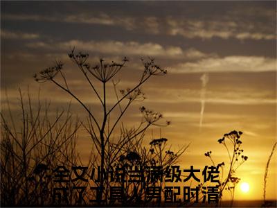 当满级大佬成了工具人男配时清（当满级大佬成了工具人男配时清）小说全文免费阅读_（当满级大佬成了工具人男配时清）小说全文无删减版在线阅读