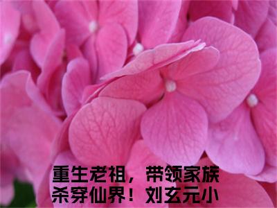 重生老祖，带领家族杀穿仙界！刘玄元（重生老祖，带领家族杀穿仙界！刘玄元）全文免费阅读无弹窗大结局_ (重生老祖，带领家族杀穿仙界！刘玄元小说免费阅读)最新章节列表_笔趣阁