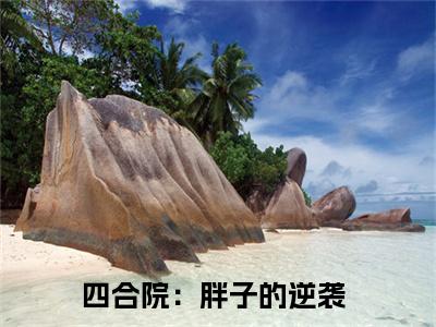 四合院：胖子的逆袭（陈康）全文免费阅读无弹窗大结局_（四合院：胖子的逆袭）陈康最新章节列表