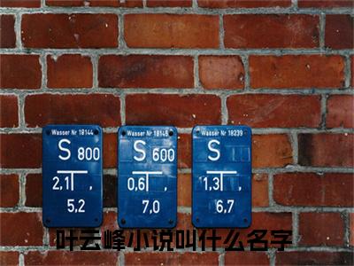 《叶云峰》无弹窗大结局-（让你上大学，你偷偷混成首富）无弹窗阅读最新章节列表_笔趣阁