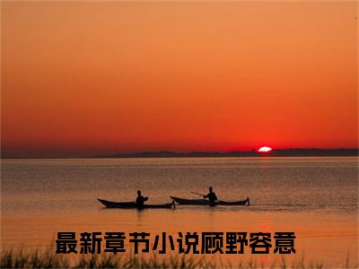 顾野容意无广告小说（顾野容意）全文免费阅读无弹窗大结局-顾野容意在线阅读