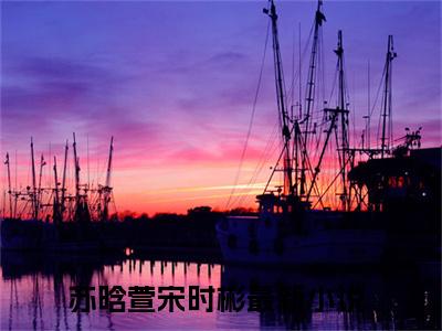 苏晗萱宋时彬小说完整版大结局-苏晗萱宋时彬小说完结版在线阅读