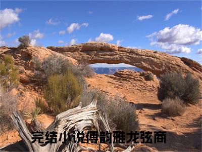 傅韵雅龙弦商（傅韵雅龙弦商）全文阅读完整版_傅韵雅龙弦商小说免费阅读大结局（傅韵雅龙弦商）