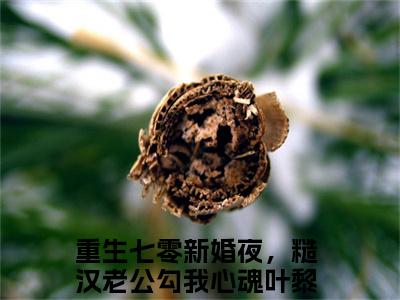 重生七零新婚夜，糙汉老公勾我心魂叶黎完整版最新小说大结局 重生七零新婚夜，糙汉老公勾我心魂叶黎最新章节