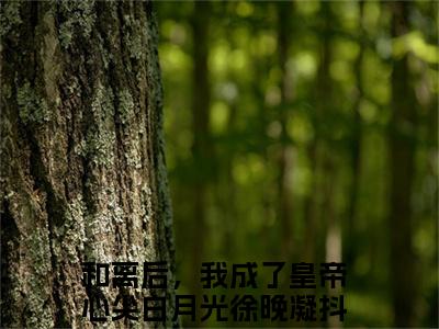和离后，我成了皇帝心尖白月光徐晚凝（和离后，我成了皇帝心尖白月光徐晚凝）全文免费阅读无弹窗大结局_(和离后，我成了皇帝心尖白月光徐晚凝)免费阅读无弹窗最新章节列表