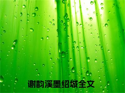 女生看的小说推荐谢韵溪墨绍城-谢韵溪墨绍城小说免费阅读