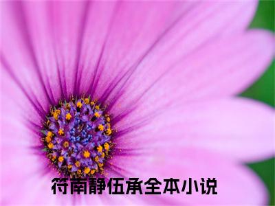 符南静伍承(符南静伍承)小说免费阅读无弹窗大结局_(符南静伍承)符南静伍承最新章节列表笔趣阁（符南静伍承）