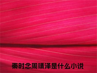 秦时念周靖泽（秦时念周靖泽）全文免费阅读无弹窗大结局_ (秦时念周靖泽小说免费阅读)最新章节列表_笔趣阁