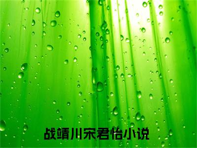 战靖川宋君怡免费小说 战靖川宋君怡在线小说免费阅读目录