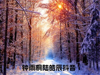 钟雨桐陆皓辰小说大结局完整版阅读，钟雨桐陆皓辰小说全文在线阅读