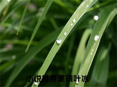 主角为夏晴叶冰的小说（午夜直播:小心你身后）大结局免费阅读-午夜直播:小心你身后全文免费阅读笔趣阁