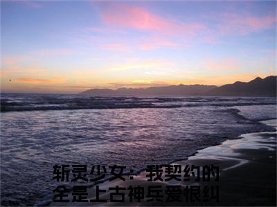 斩灵少女：我契约的全是上古神兵爱恨纠葛（韩战顾琳小说）全文免费阅读无弹窗大结局_韩战顾琳小说免费阅读最新章节列表_笔趣阁（斩灵少女：我契约的全是上古神兵爱恨纠葛小说）