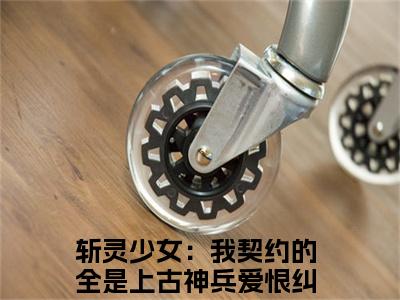 韩战顾琳（斩灵少女：我契约的全是上古神兵爱恨纠葛）全文免费阅读无弹窗大结局_斩灵少女：我契约的全是上古神兵爱恨纠葛最新章节列表