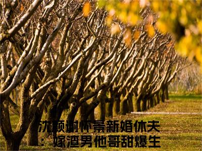 （番外）+（全文）新婚休夫：嫁渣男他哥甜爆生子小说免费下载阅读_（新婚休夫：嫁渣男他哥甜爆生子）沈颜谢怀景最新章节列表_笔趣阁（沈颜谢怀景）