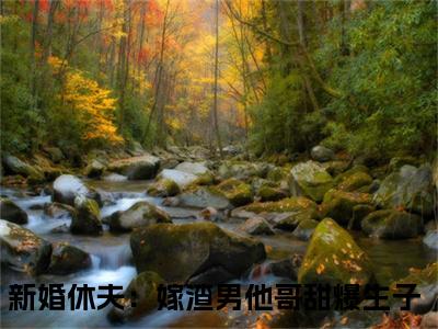 新婚休夫：嫁渣男他哥甜爆生子老书虫书荒推荐热点小说-新婚休夫：嫁渣男他哥甜爆生子沈颜谢怀景全文免费阅读