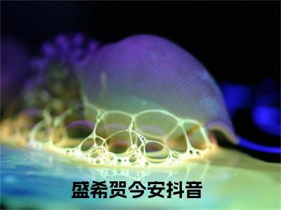 盛希贺今安小说（盛希贺今安最新全章节大结局）盛希贺今安全文阅读