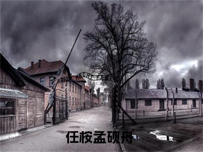 （逐乐）全文免费阅读无弹窗大结局-任桉孟砚舟全文阅读无弹窗