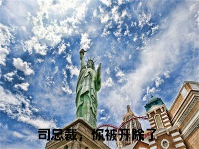 司星熠楚千瓷（司总裁，你被开除了）全文免费阅读无弹窗_司星熠楚千瓷（司总裁，你被开除了小说完整版）最新章节列表