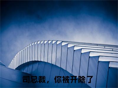 司总裁，你被开除了（司星熠楚千瓷）全文免费阅读无弹窗大结局_司星熠楚千瓷最新章节列表_笔趣阁（司总裁，你被开除了）