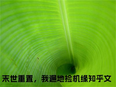 末世重置，我遍地捡机缘（宋昭）全文免费阅读无弹窗大结局宋昭（末世重置，我遍地捡机缘）