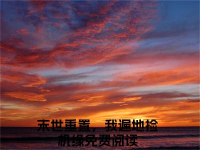 末世重置，我遍地捡机缘（宋昭）全文免费阅读最新章节_末世重置，我遍地捡机缘大结局精彩阅读_笔趣阁（宋昭）
