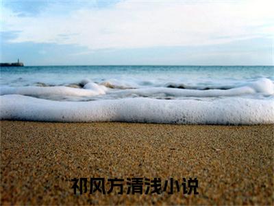 主角是祁风方清浅的小说叫什么名字-祁风方清浅小说全文免费阅读