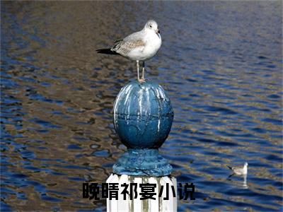 主角是《晚晴祁宴》的小说强推-爱情小说免费阅读-晚晴祁宴