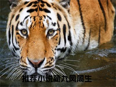 蔺九凤周生小说_小说悟性逆天：我在藏经阁创造无敌法免费阅读最新章节列表（蔺九凤周生）笔趣阁