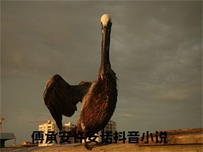 傅承安许安诺精彩章节在线阅读-傅承安许安诺美文欣赏