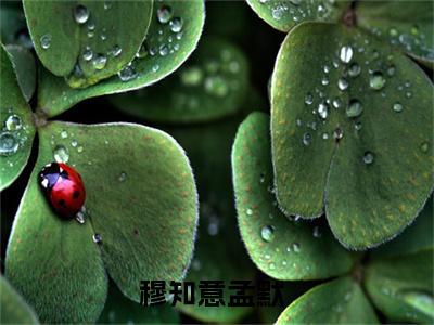 穆知意孟默（穆知意孟默）全文免费阅读无弹窗大结局_（穆知意孟默）最新章节列表笔趣阁