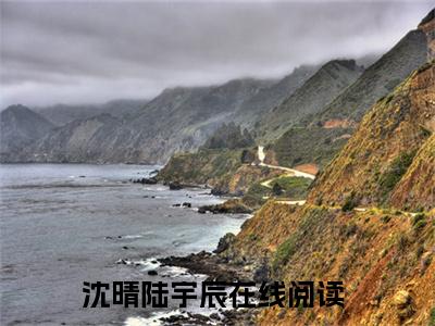 沈晴陆宇辰txt（沈晴陆宇辰）全文免费阅读无弹窗大结局_沈晴陆宇辰最新章节列表_笔趣阁（沈晴陆宇辰）