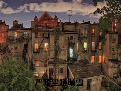 严陌尘路晴雪推荐免费新书 -严陌尘路晴雪小说阅读无弹窗