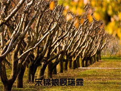 宋锦娘顾瑞霖（宋锦娘顾瑞霖免费阅读无弹窗）-宋锦娘顾瑞霖最新章节列表宋锦娘顾瑞霖全文无删减版