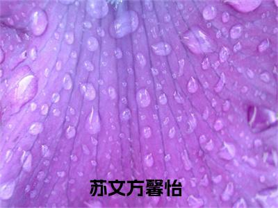 苏文方馨怡（绑定系统：不小心搞成五百强企业了）全文免费阅读无弹窗完整版，（苏文方馨怡）免费阅读全文最新章节列表_笔趣阁