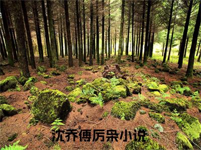 沈乔傅厉枭全文（沈乔傅厉枭）完整版小说阅读_沈乔傅厉枭全本列表免费笔趣阁（沈乔傅厉枭）