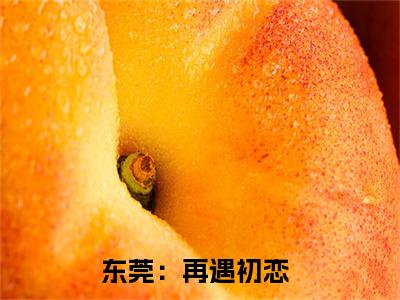 应小霞肖凡小说（东莞：再遇初恋）全文免费阅读_应小霞肖凡小说（东莞：再遇初恋）最新章节列表笔趣阁小说