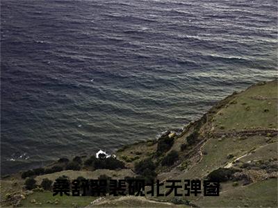 桑舒絮裴砚北在线阅读的小说完整版-桑舒絮裴砚北（桑舒絮裴砚北）小说免费阅读