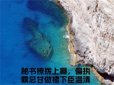 温清离顾霆尧（秘书撩拨上瘾，偏执霸总甘做裙下臣）免费阅读无弹窗大结局_温清离顾霆尧小说（秘书撩拨上瘾，偏执霸总甘做裙下臣）免费阅读最新章节列表