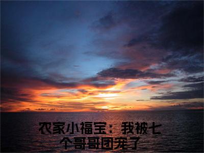 农家小福宝：我被七个哥哥团宠了小说（糖宝）全文免费阅读无弹窗大结局_农家小福宝：我被七个哥哥团宠了小说免费阅读最新章节列表笔趣阁（糖宝）