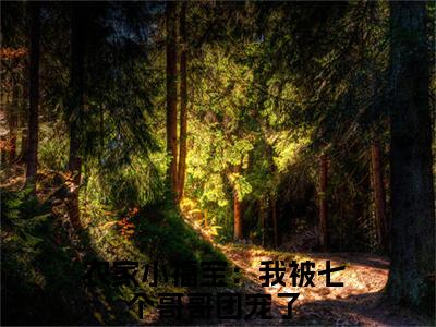 农家小福宝：我被七个哥哥团宠了全文免费阅读大结局_糖宝已完结全集农家小福宝：我被七个哥哥团宠了大结局小说