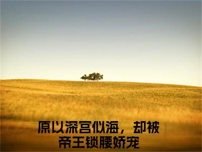 （陆芷鸢沈君樾）原以深宫似海，却被帝王锁腰娇宠全文完整版-最新热门榜单小说陆芷鸢沈君樾（原以深宫似海，却被帝王锁腰娇宠）