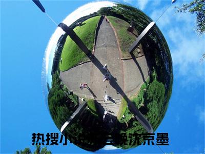 苏云晚沈京墨（假千金全能无敌，各路大佬争着宠）快手热推小说主角苏云晚沈京墨完整版在线阅读