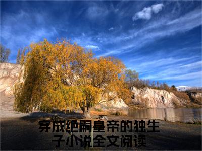 穿成绝嗣皇帝的独生子全文免费阅读大结局_李昀熙已完结全集穿成绝嗣皇帝的独生子大结局小说